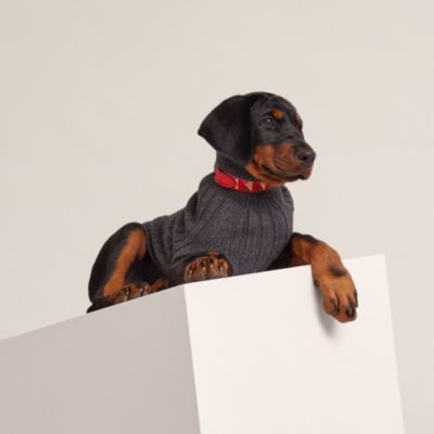 犬用トイ 《銜》 | Hermès - エルメス-公式サイト